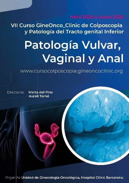 VII Curso de Patología Vulvar, Vaginal y Anal